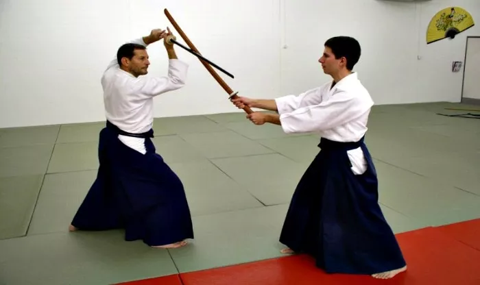 Bokken Vs Shinken : Quelles Sont Les Différences ?