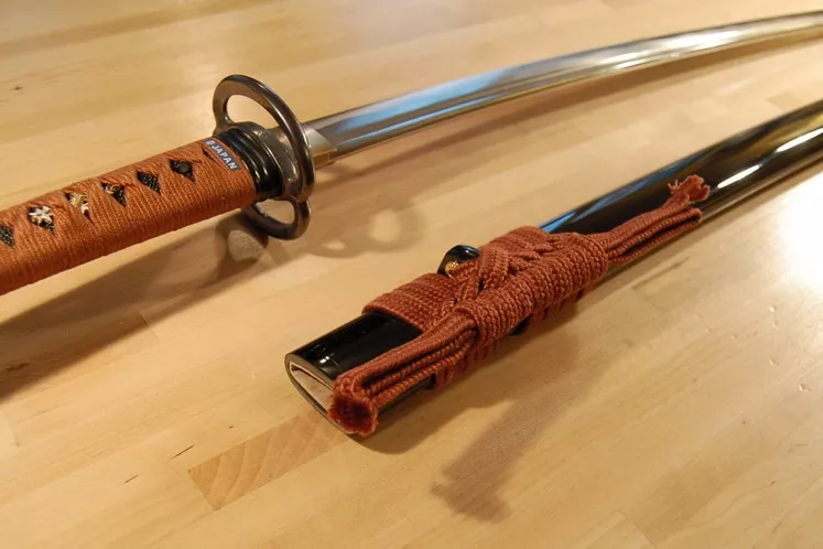 Bokken Vs Shinken : Quelles Sont Les Différences ?