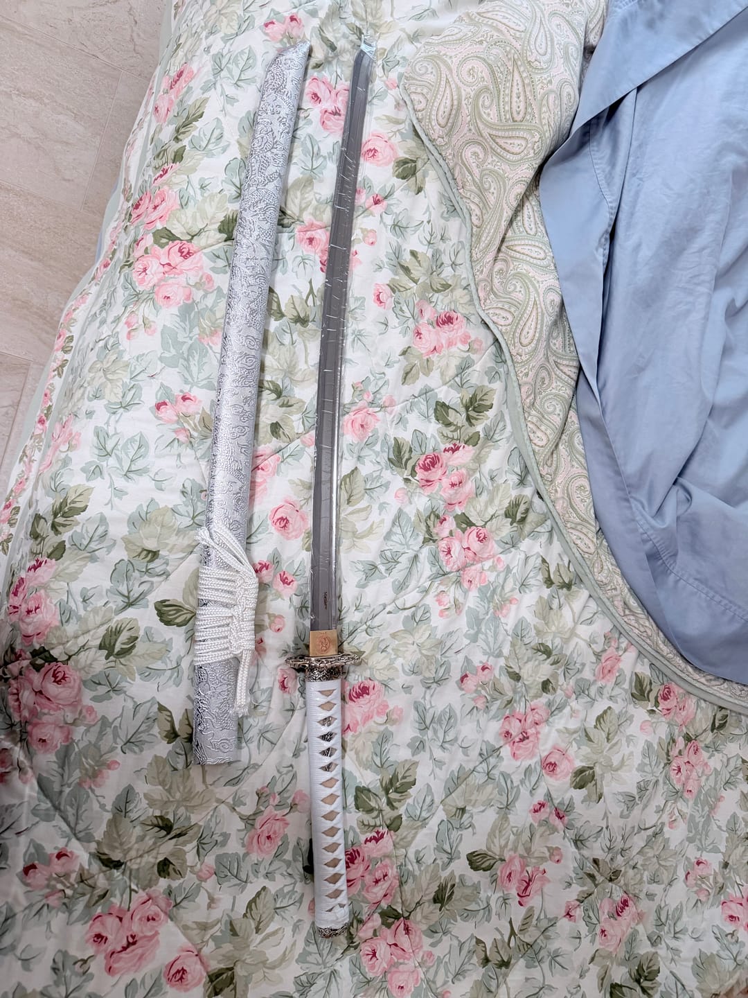 Image #1 from Renata Saavedra